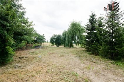 Działka budowlana na sprzedaż Łagiewniki 2 661m2 Foto 4