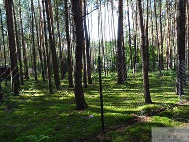 działka na sprzedaż 972m2 działka Dębniak
