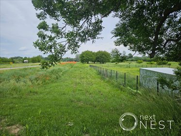 działka na sprzedaż 1930m2 działka Dębówka