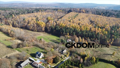 Działka 23 800 m² z potencjałem inwestycyjnym działka Cisów