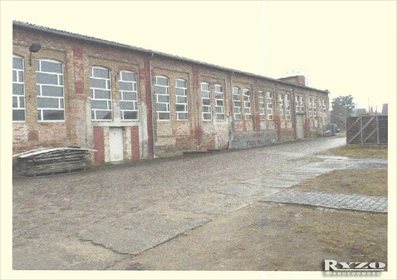 Magazyn na wynajem Niemcy, Locknitz, Locknitz 3 800m2 Foto 5