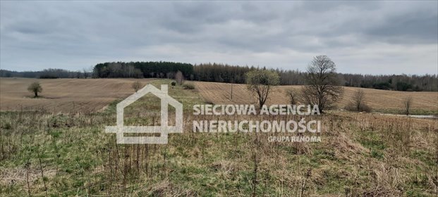 Działka budowlana 8800 m² z warunkami zabudowy. działka Borowina