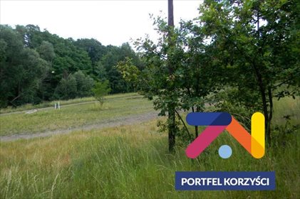 Działka inwestycyjna 7300 m² z warunkami zabudowy działka Zielona Góra