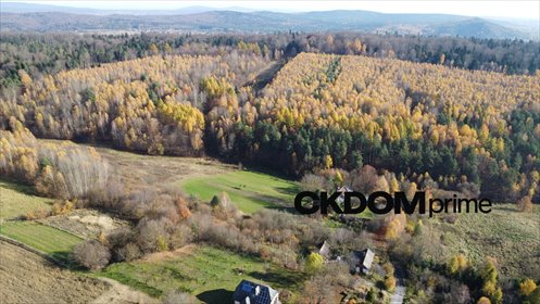 Działka rolna z potencjałem inwestycyjnym 22 500 m² działka Cisów