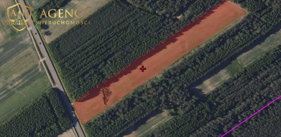 Działka rolna 27 800 m² przy drodze asfaltowej, uprawna działka Malinniki
