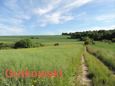 działka na sprzedaż 7706m2 działka Lekarty, gmina Nowe Miasto Lubawskie