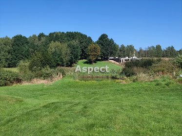 działka na sprzedaż 4277m2 działka Żory, Rój