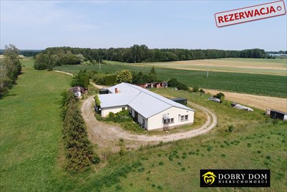 Hala 600 m² z dużą mocą prądu - polecam! magazyn Olszewek