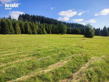 Działka 3796 m² w Złatnej - las, spokój, inwestycja działka Złatna
