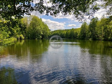 Polecam przytulną kawalerkę 30 m² z działką 19 arów, 400 m od jeziora mieszkanie Goszczanowo