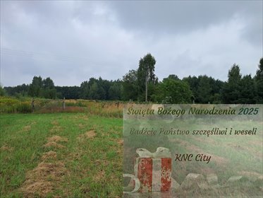 działka na sprzedaż 12400m2 działka Opole Lubelskie, Zagrody