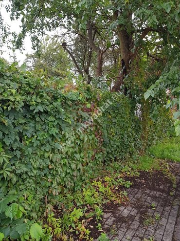Działka budowlana na sprzedaż Pruszków, Tworki 985m2 Foto 4