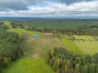 działka na sprzedaż 6000m2 działka Krzyż