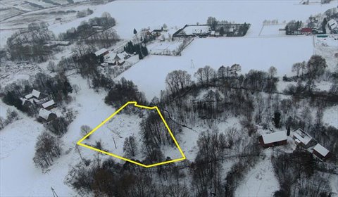 Sprzedam malowniczą działkę 4200 m² z zabudową zagrodową działka Przystawy, Przystawy