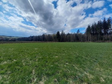 działka na sprzedaż 9400m2 działka Borówno