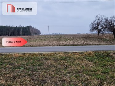Działka budowlana 5700m2 z mediami, las i jeziora działka Rogowo