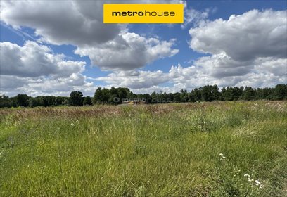 Działka budowlana 904 m² w Kryształowicach (blisko lasu) działka Kryształowice, Topolowa