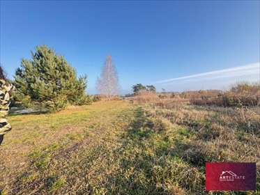 Działka 2468 m² z mediami w spokojnym Florentynowie działka Florentynów, Florentynów