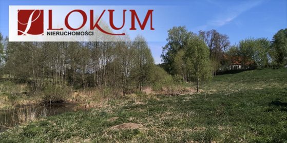 Działka budowlana na sprzedaż Biały Bukowiec 59 600m2 Foto 3