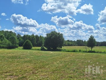 działka na sprzedaż 3111m2 działka Bartniki