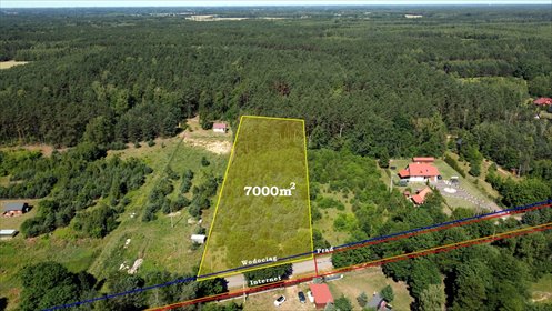 Do sprzedania malownicza działka 7 000 m² w Grabiach działka Grabie