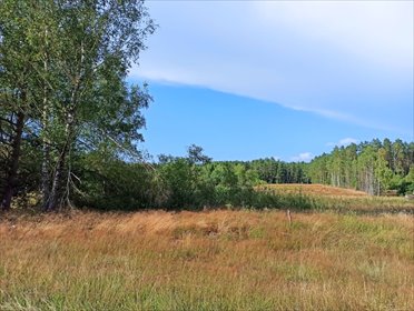 Działka 1400 m² przy lesie - Wiewiórowo z WZ i mediami działka Wiewiórowo