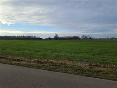 działka na sprzedaż 2340000m2 działka Czaplin