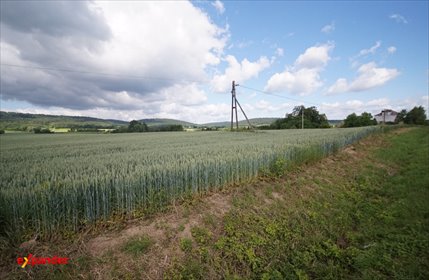 Działka inwestycyjna 19,15 arów przy drodze asfaltowej działka Fredropol