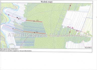Zapraszam do zakupu 2,3 ha gruntu z lasem i pastwiskami działka Skotniki