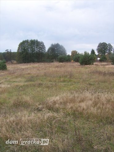 działka na sprzedaż 4700m2 działka Glinik