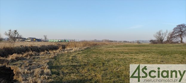 działka na sprzedaż 7855m2 działka Cholewy