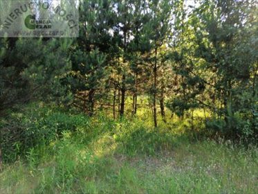 Działka budowlana na sprzedaż Lubomin 1 150m2 Foto 5