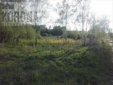 działka na sprzedaż 1000m2 działka Skrybicze