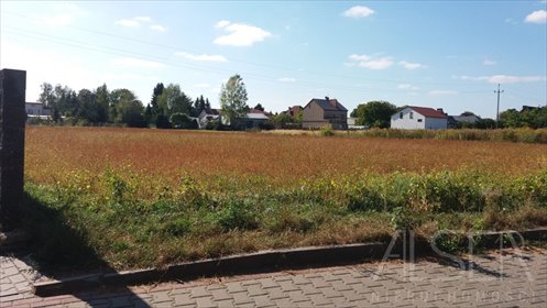 Sprzedam działkę 3513 m² w Nowej Iwicznej z mediami działka Nowa Iwiczna, Ignacego Krasickiego