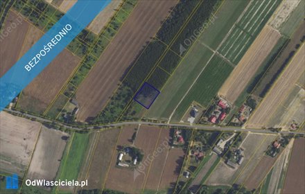 działka na sprzedaż 3000m2 działka Kamienica