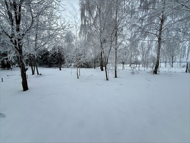 działka na sprzedaż 5000m2 działka Cholewy