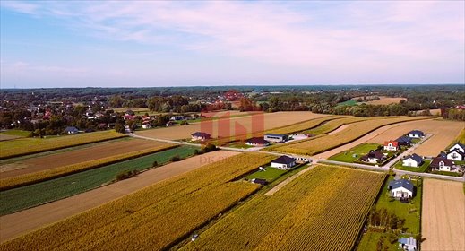 Działka budowlana z WZ, 18,75 ara, cicha okolica. działka Borek Wielki, Wschodnia