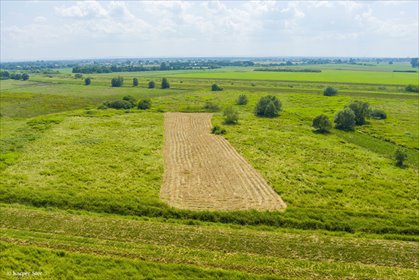 działka na sprzedaż 2700m2 działka Szczurowa