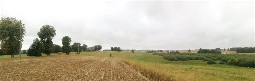 Działka rolna na sprzedaż Jeleń 5 141m2 Foto 5