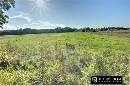 działka na sprzedaż 4600m2 działka Mielnik