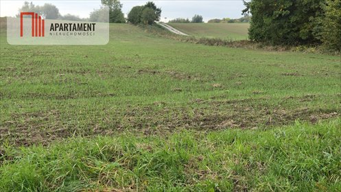 Polecam działki 1000 m² w Będzinie blisko plaży i lasów działka Będzino