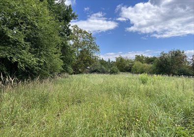 działka na sprzedaż 2217m2 działka Kraków, Swoszowice, Nałęczowska