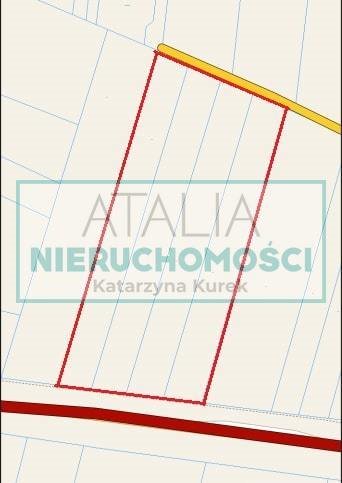 Działka rolna 21 906 m² z mediami i planami rozbudowy działka Seroki-Wieś