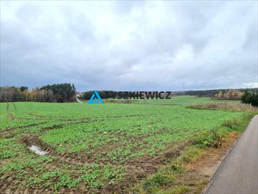 działka na sprzedaż 1000m2 działka Połęczyno