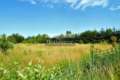 działka na sprzedaż 1792m2 działka Jerzmanowa, Truskawkowa