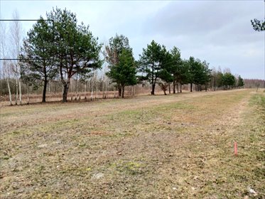 działka na sprzedaż 1200m2 działka Koryta, Lipowa