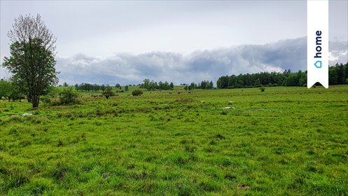 działka na sprzedaż 1281m2 działka Lesica