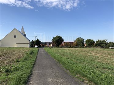 Działka inna na sprzedaż Dobieszowice 2 550m2 Foto 3