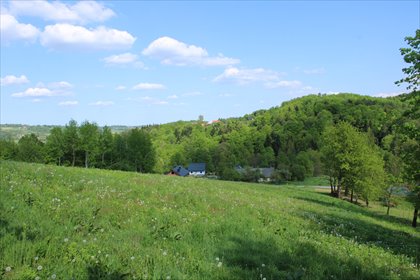 działka na sprzedaż 1516m2 działka Tarnawa
