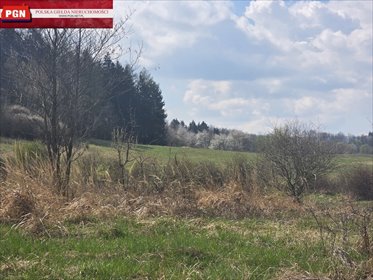 działka na sprzedaż 1456m2 działka Stary Wielisław